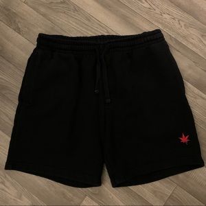 BOAST Shorts Men’s Size XL 420 Leaf